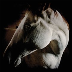 How To Kill A Horse (White Vinyl) - Brother Dege