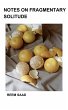Notes on Fragmentary Solitude (eBook,... - Bild 1