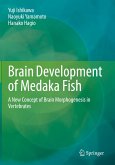 Brain Development of Medaka Fish