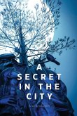 A secret in the city A secret in the city