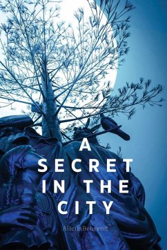 Cover A secret in the city