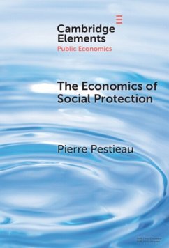 The Economics of Social Protection - Pestieau, Pierre (Universite de Liege and Universite Catholique de L