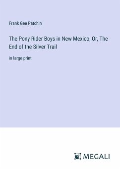 The Pony Rider Boys in New Mexico; Or, The End of the Silver Trail - Patchin, Frank Gee