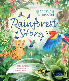 A Rainforest Story - Burnard, Jane