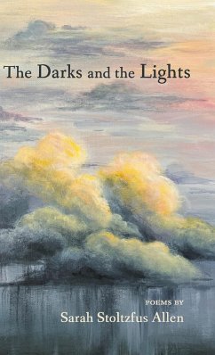 The Darks and the Lights - Allen, Sarah Stoltzfus