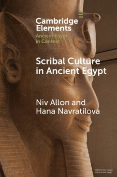Scribal Culture in Ancient Egypt - Allon, Niv (The Metropolitan Museum of Art); Navratilova, Hana (University of Oxford and University of Reading)