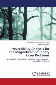 Irreversibility Analysis for the Magnetized Boundary Layer Problems