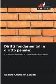 Diritti fondamentali e diritto penale: