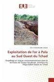 Exploitation de l'or à Pala au Sud Ouest du Tchad