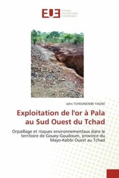 Exploitation de l'or à Pala au Sud Ouest du Tchad - TCHOUNEINBE YAGNE, John