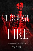 Through the Fire (Soul Taker Series) (eBook, ePUB)