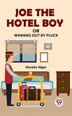 Joe The Hotel Boy Or Winning Out By Pluck (eBook, ePUB)