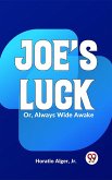 Joe'S Luck Or, Always Wide Awake (eBook, ePUB)