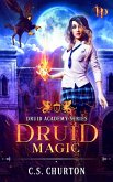 Druid Magic (Druid Academy, #1) (eBook, ePUB)