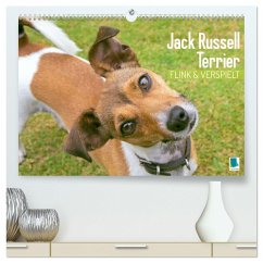 Jack Russell Terrier: flink und verspielt (hochwertiger Premium Wandkalender 2024 DIN A2 quer), Kunstdruck in Hochglanz