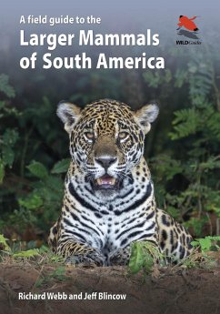 A Field Guide to the Larger Mammals of South America - Webb, Richard; Blincow, Jeff