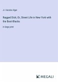 Ragged Dick; Or, Street Life in New York with the Boot-Blacks
