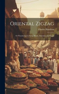 Oriental Zigzag; Or Wanderings in Syria, Moab, Abyssinia, and Egypt - Hamilton, Charles