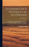 Gatherings Of A Naturalist In Australasia: Being Observations Principally On The Animal And Vegetable Productions Of New South Wales, New Zealand, And