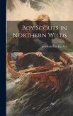 Boy Scouts in Northern Wilds