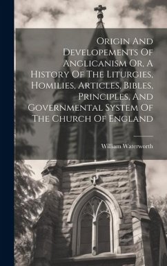 Origin And Developements Of Anglicanism Or, A History Of The Liturgies, Homilies, Articles, Bibles, Principles, And Governmental System Of The Church - Waterworth, William