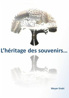 L'héritage des souvenirs - Drahi, Meyer