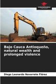 Bajo Cauca Antioqueño, natural wealth and prolonged violence
