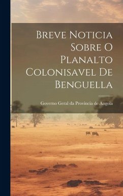 Breve Noticia Sobre O Planalto Colonisavel de Benguella - Geral Da Provincia De Angola, Governo