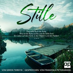 Stille (MP3-Download) - Ternyik, Simon