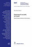 Panorama IV en droit du travail (eBook, PDF)