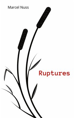 Ruptures (eBook, ePUB)