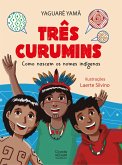 Três curumins - como nascem os nomes indígenas (eBook, ePUB)