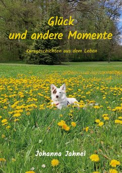 Glück und andere Momente (eBook, ePUB) - Jahnel, Johanna