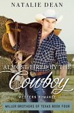 Almost Fired by the Cowboy (Miller Brothers of Texas, #4) (eBook, ePUB)