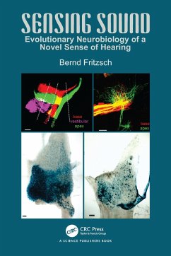 Sensing Sound (eBook, ePUB) - Fritzsch, Bernd
