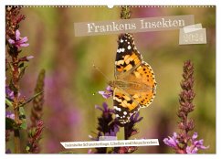 Frankens Insekten (Wandkalender 2024 DIN A2 quer), CALVENDO Monatskalender