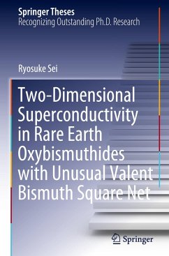Two-Dimensional Superconductivity in Rare Earth Oxybismuthides with Unusual Valent Bismuth Square Net - Sei, Ryosuke