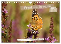 Frankens Insekten (Wandkalender 2024 DIN A4 quer), CALVENDO Monatskalender - Paulus, Susanne