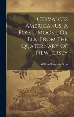 Cervalces Americanus, A Fossil Moose, Or Elk, From The Quaternary Of New Jersey - Scott, William Berryman