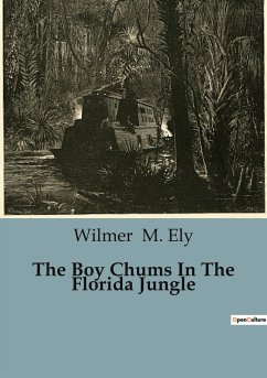 The Boy Chums In The Florida Jungle - M. Ely, Wilmer
