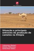 Situação e principais entraves da produção de camelos na Etiópia