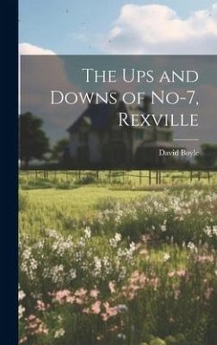 The Ups and Downs of No-7, Rexville - Boyle, David