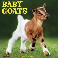 Baby Goats 2024 12 X 12 Wall Calendar - Willow Creek Press