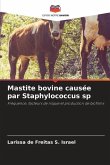 Mastite bovine causée par Staphylococcus sp