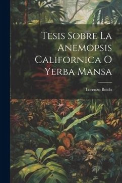 Tesis Sobre La Anemopsis Californica O Yerba Mansa - Boido, Lorenzo