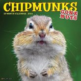 Chipmunks (Gone Nuts!) 2024 12 X 12 Wall Calendar