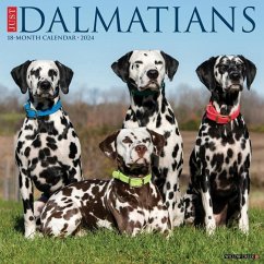 Just Dalmatians 2024 12 X 12 Wall Calendar - Willow Creek Press