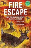 Fire Escape (eBook, ePUB)