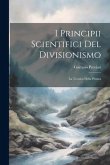 I Principii Scientifici Del Divisionismo: La Tecnica Della Pittura