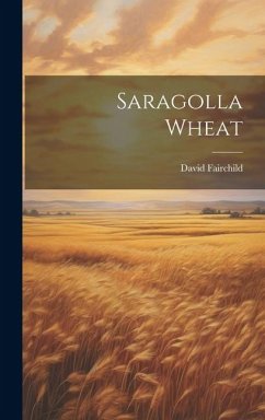 Saragolla Wheat - Fairchild, David